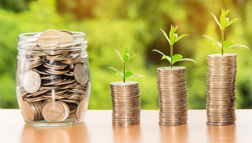 Symbiovita Foundation und Holding i.G. 3 money profit finance business 2696228
